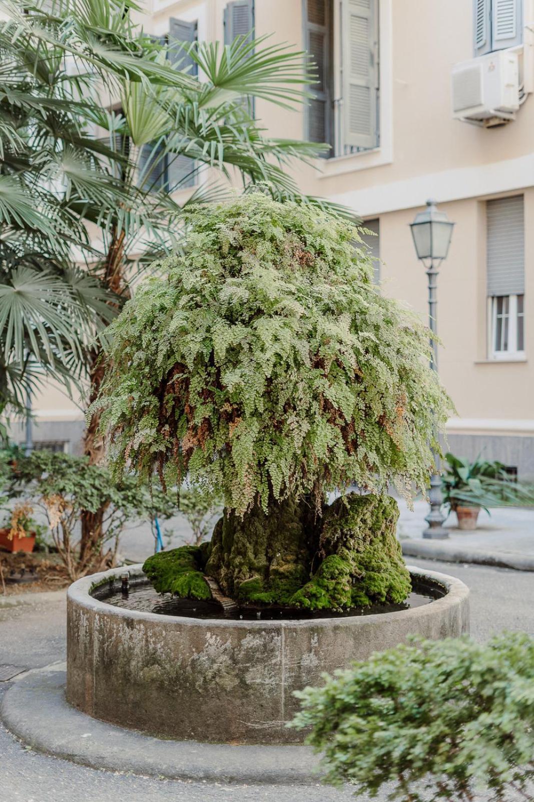 Valentine'S Dream Apartment Rome Exterior photo